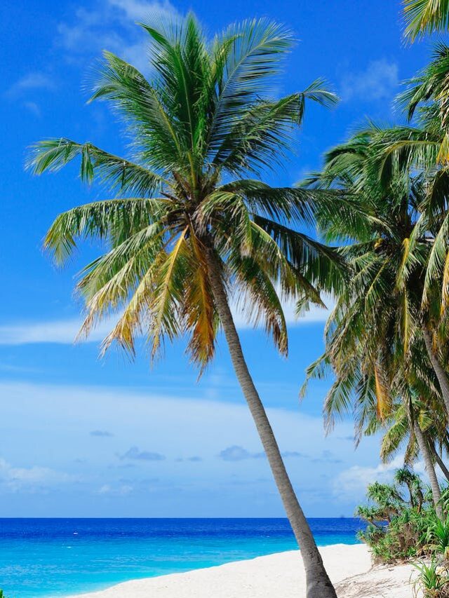 The 10 Best Secret Beaches In The Caribbean